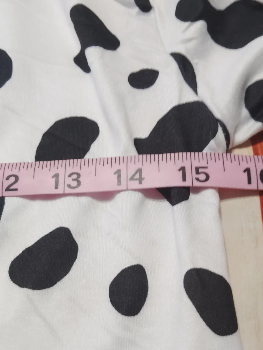 N/A cute dalmatian